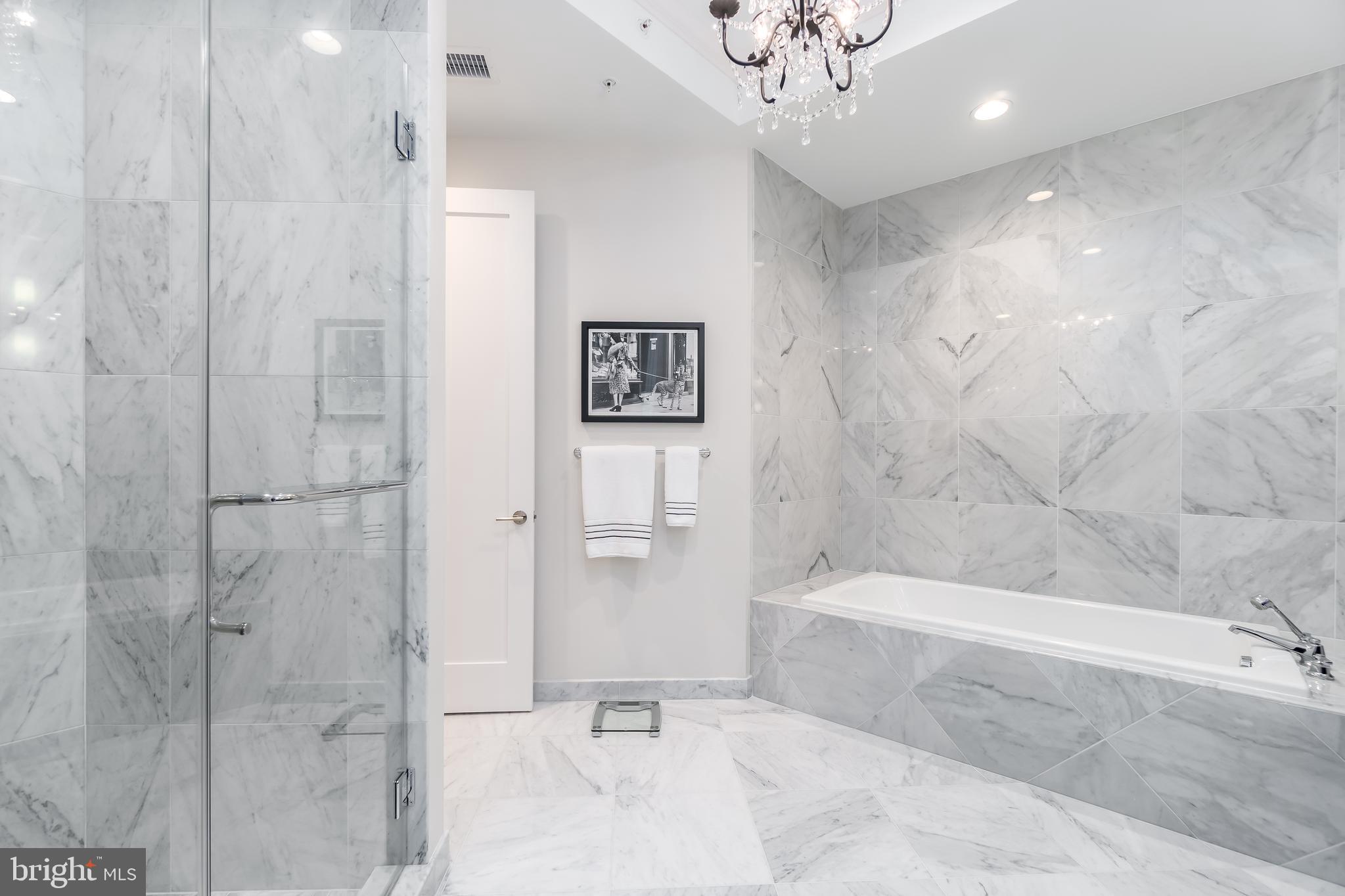 8111 River Road, Unit 125 Bethesda, MD 20817 - Photo 25 of 46 Master Bathroom