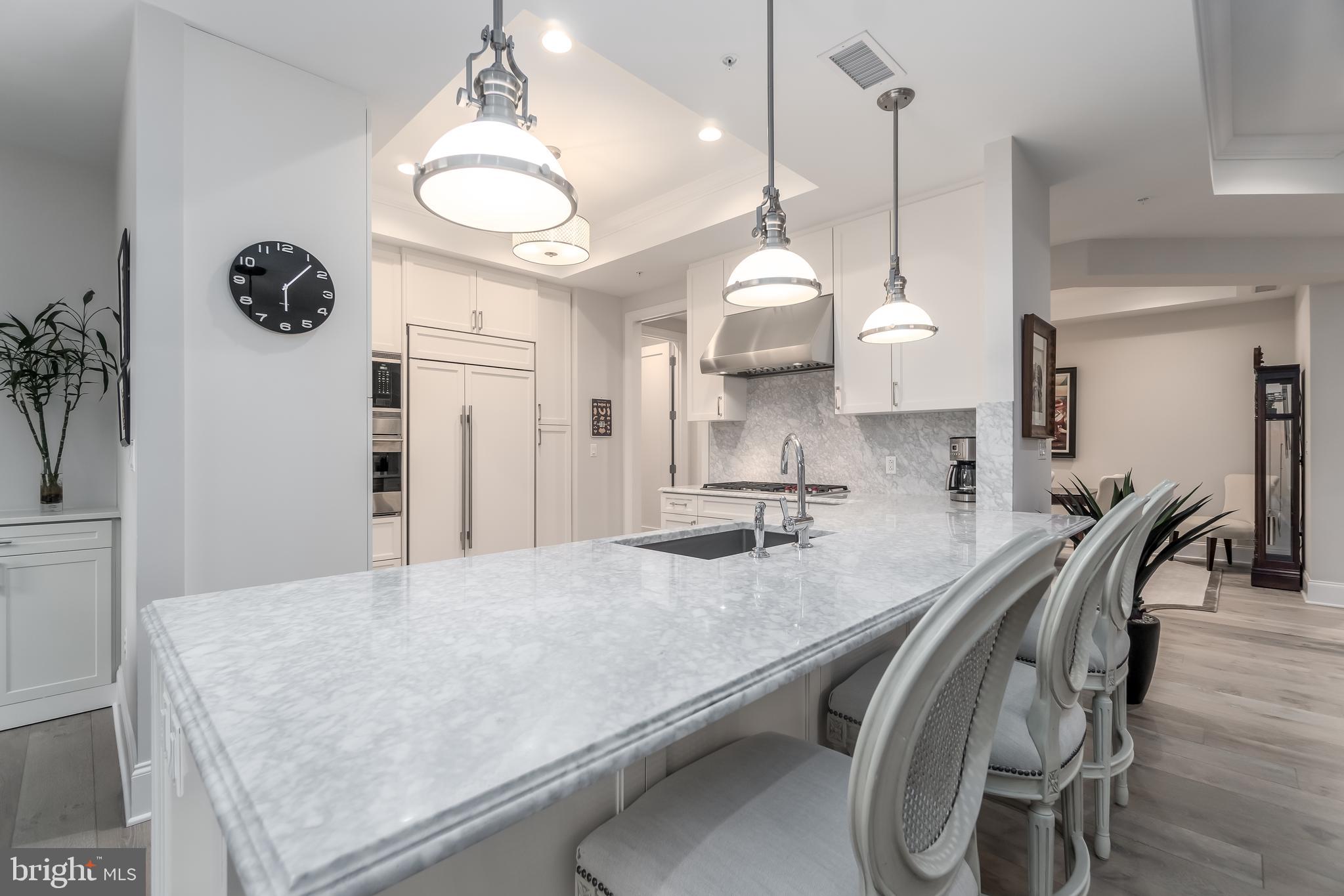 8111 River Road, Unit 125 Bethesda, MD 20817 - Photo 9 of 46 Kitchen