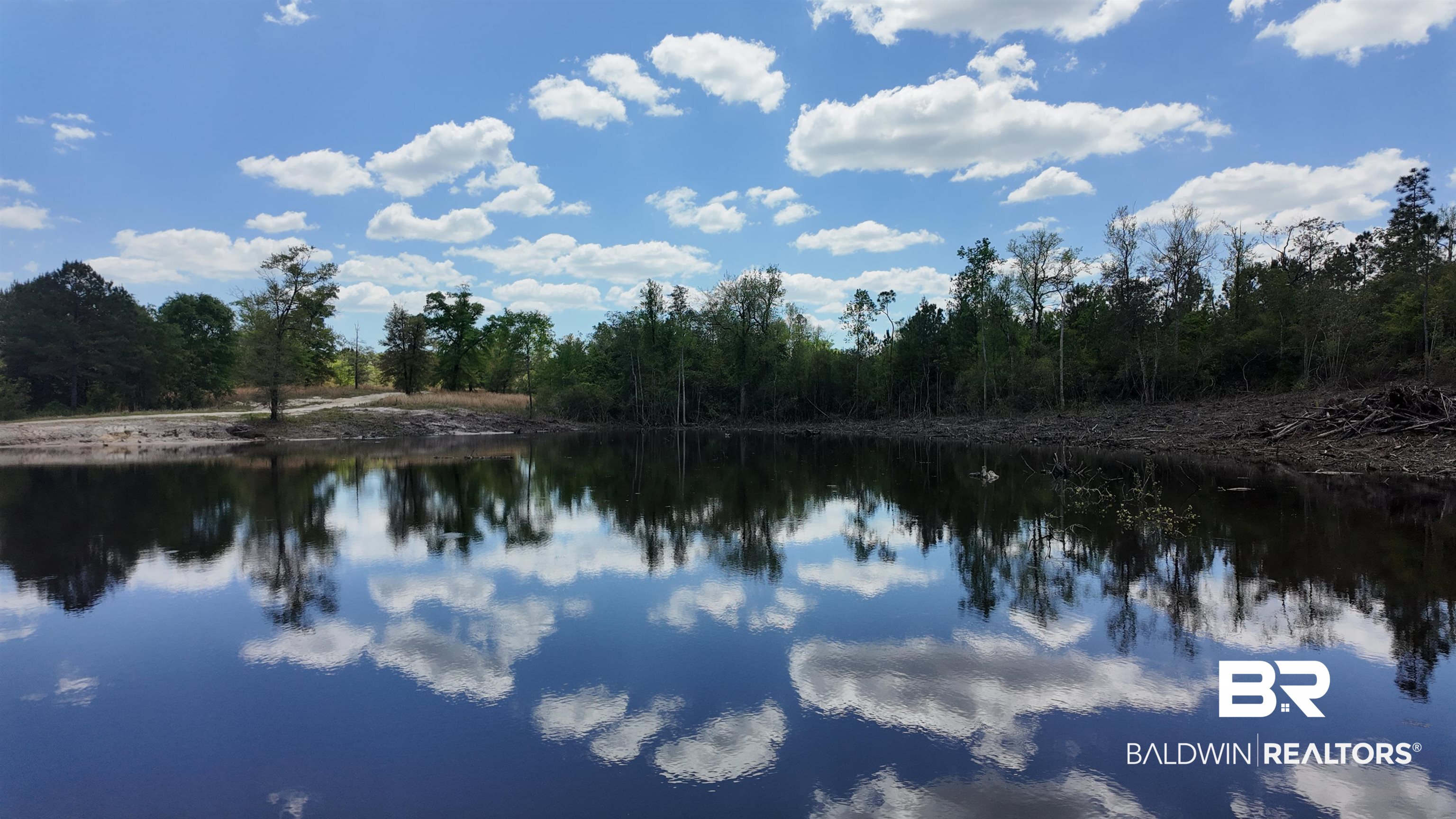0 Powell Road Eight Mile, AL 36613 - Photo 3 of 57