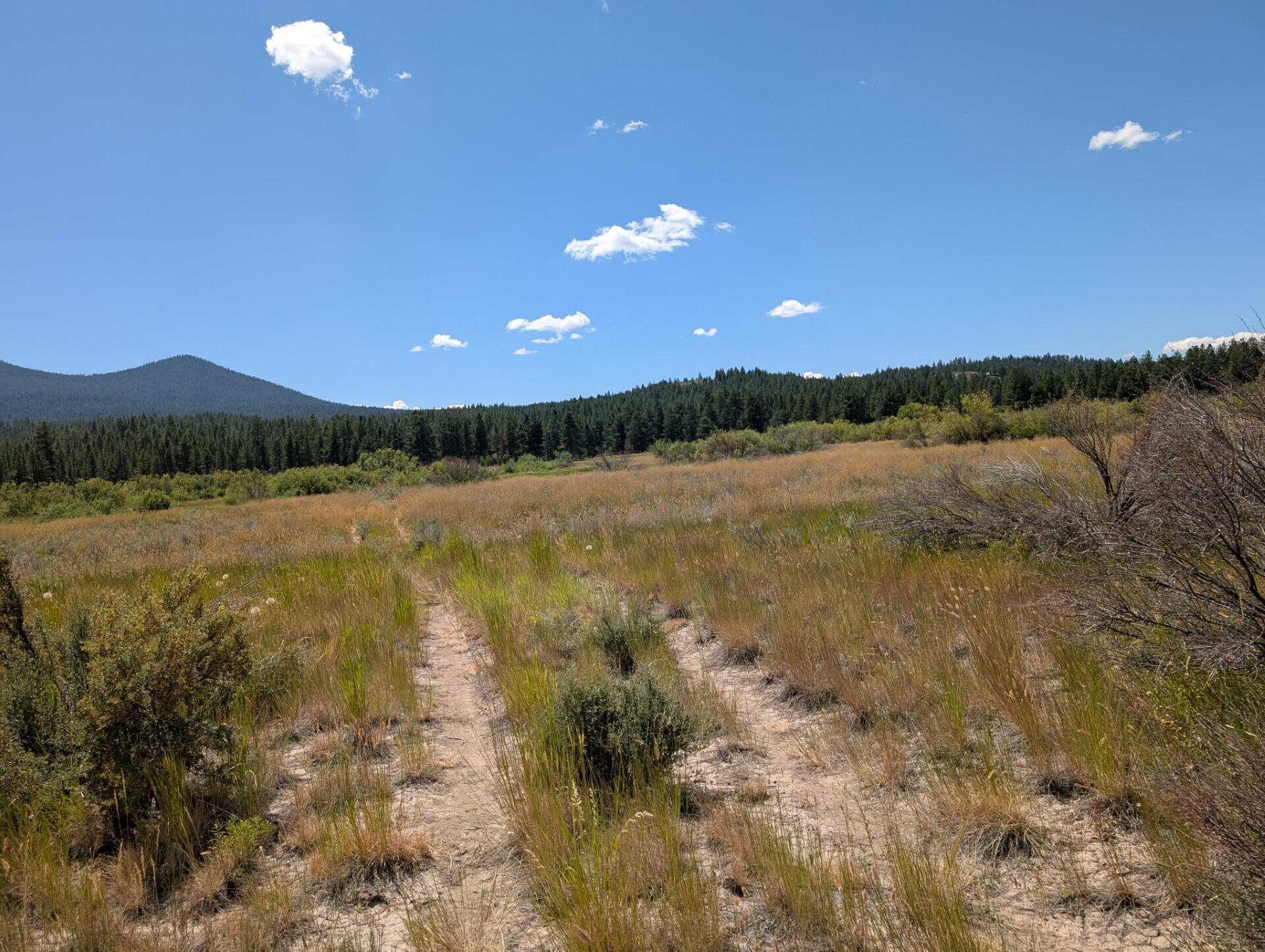 14760 Sprague River Road Chiloquin, OR 97624 - Photo 18 of 24 SPRAGUE RIVER 5