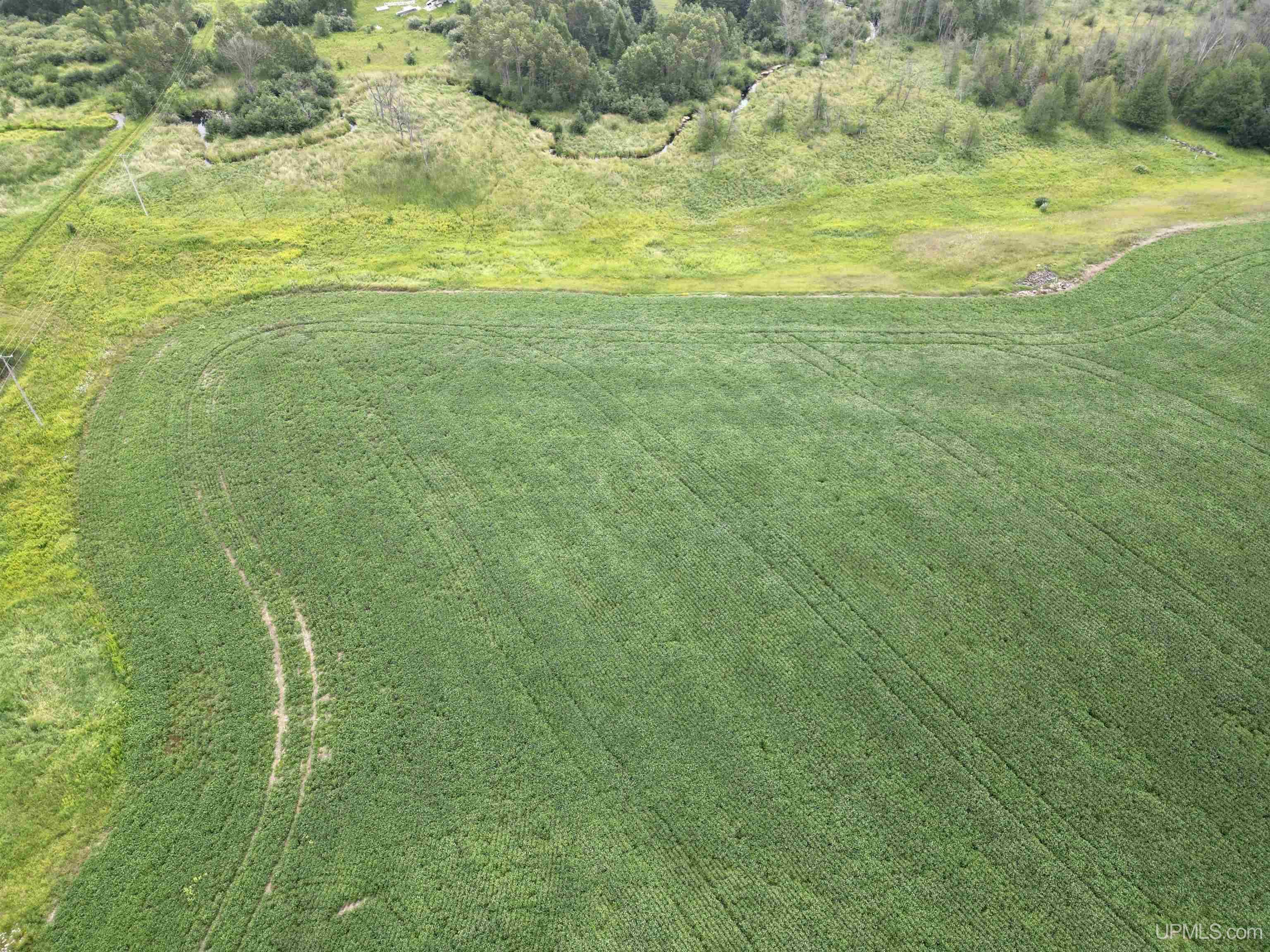 Tbd Tbd Off Guard St Road Carney, MI 49812 - Photo 6 of 13