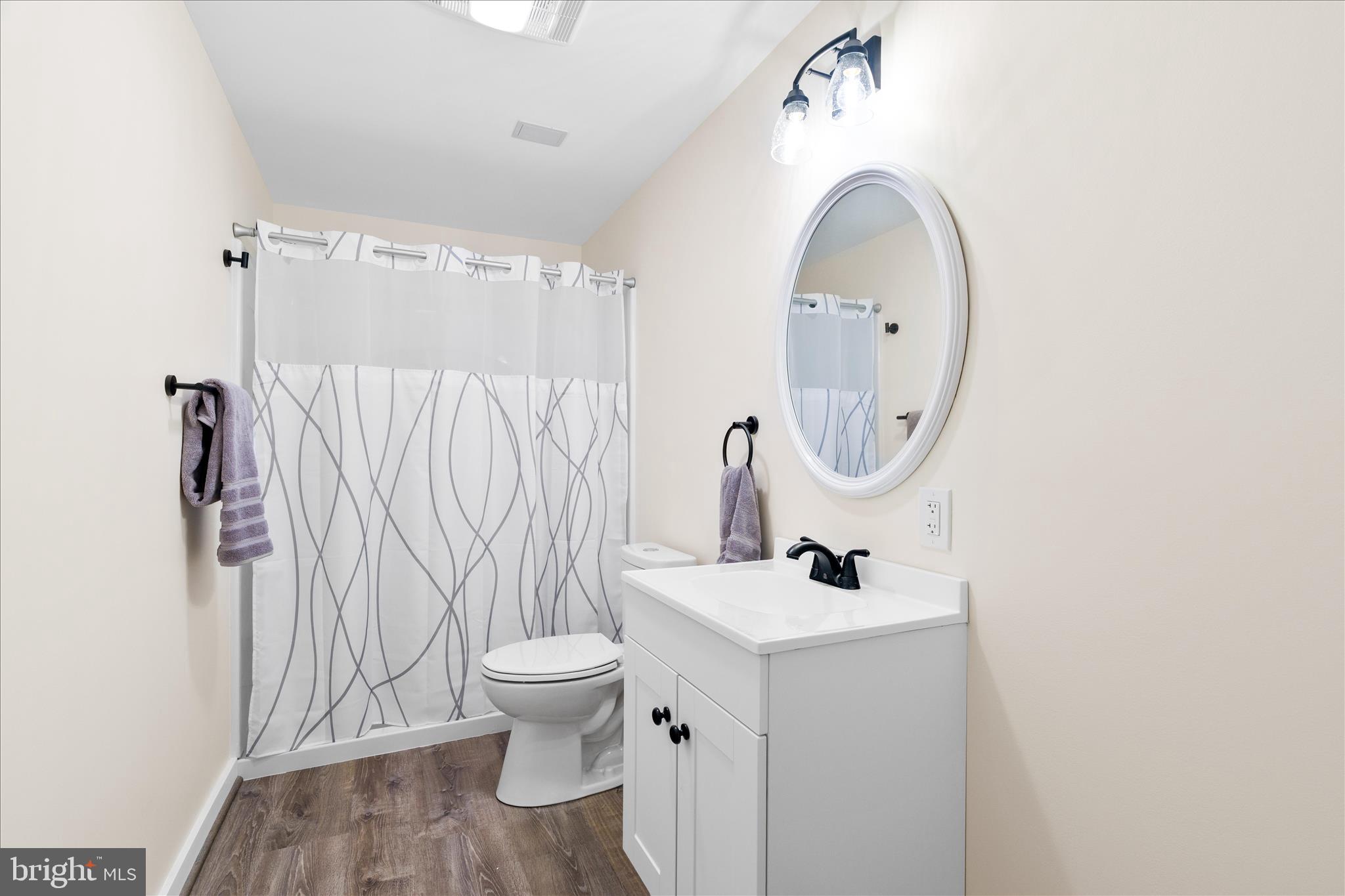 3908 Shakespeare Way Monrovia, MD 21770 - Photo 30 of 59 a bathroom with a sink a toilet and a mirror