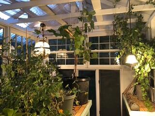 61202 Ladera Road Bend, OR 97702 - Photo 33 of 35 Inside greenhouse