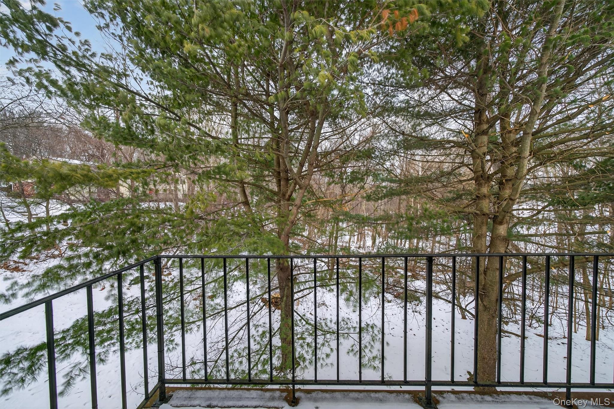 276 Temple Hill Road, Unit 2604 New Windsor, NY 12553 - Photo 23 of 31 View of snow covered back of property