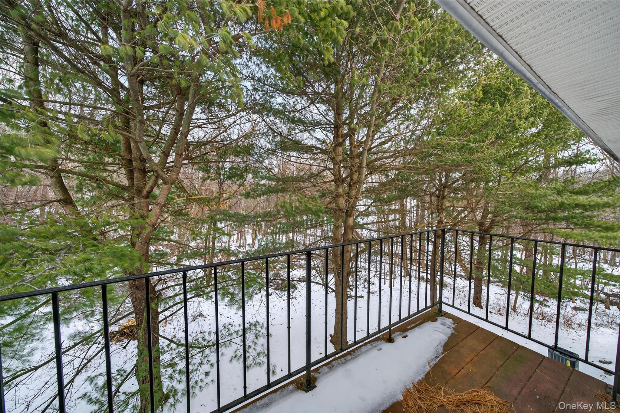 276 Temple Hill Road, Unit 2604 New Windsor, NY 12553 - Photo 24 of 31 a view of a balcony