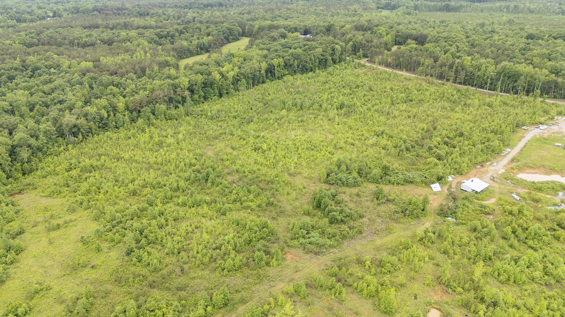 0 Leapwood Enville Road Adamsville, TN 38310 - Photo 14 of 38 a view of a big yard with large trees