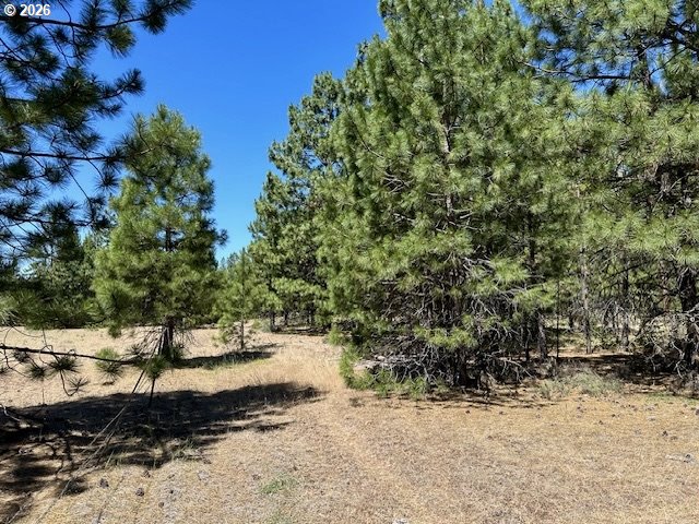 41 Timber Drive Goldendale, WA 98620 - Photo 16 of 23