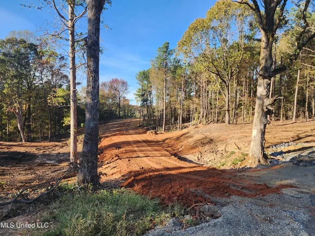 $89,500 | 7 Tyro Branch Cove, Senatobia, MS 38668