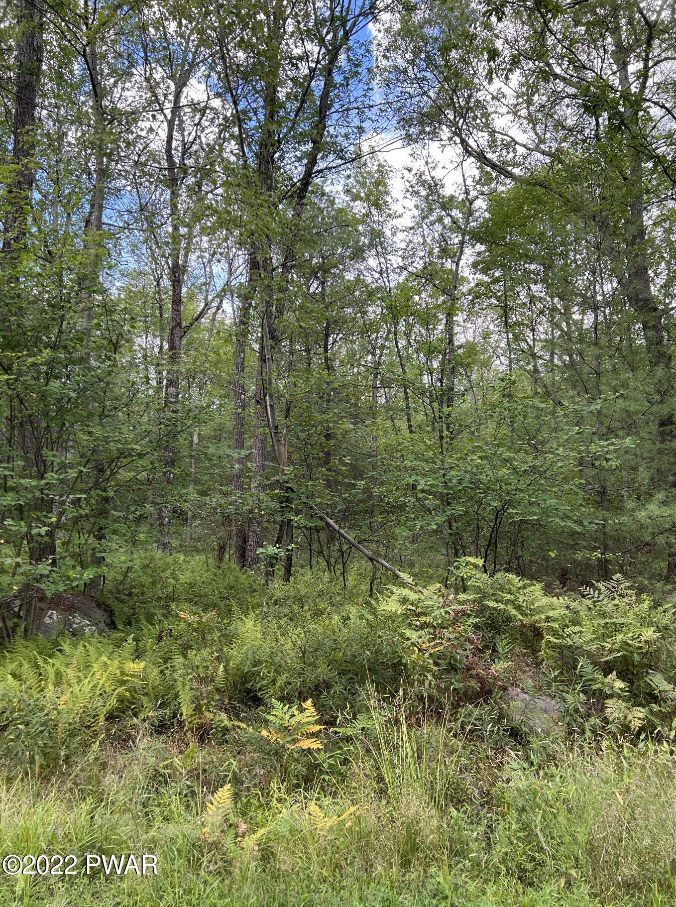 Lot 4 Fox Rdg Pk Drive Hawley, PA 18428 - Photo 1 of 7