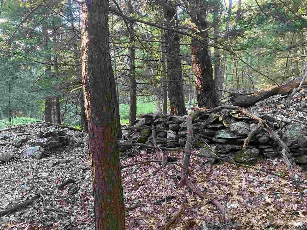 Tbd Tbd Church Road Saugerties, NY 12477 - Photo 11 of 21 Photo 11