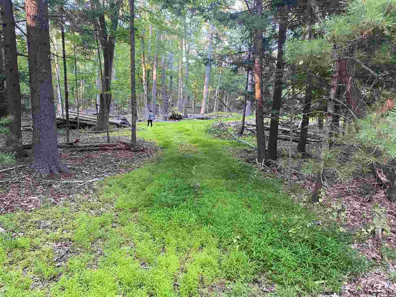 Tbd Tbd Church Road Saugerties, NY 12477 - Photo 18 of 21 Photo 18