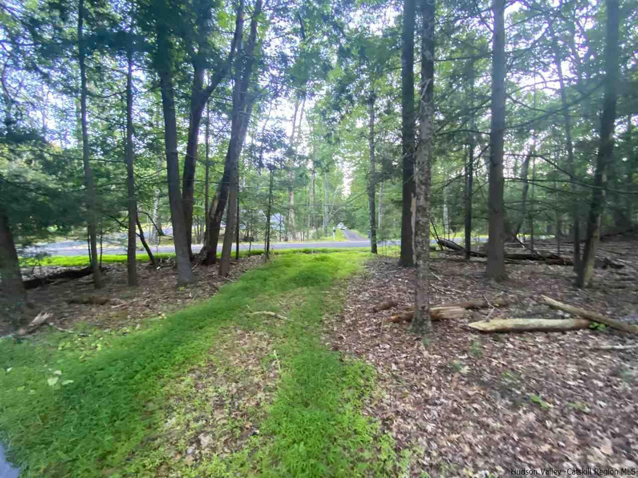 Tbd Tbd Church Road Saugerties, NY 12477 - Photo 19 of 21 Photo 19