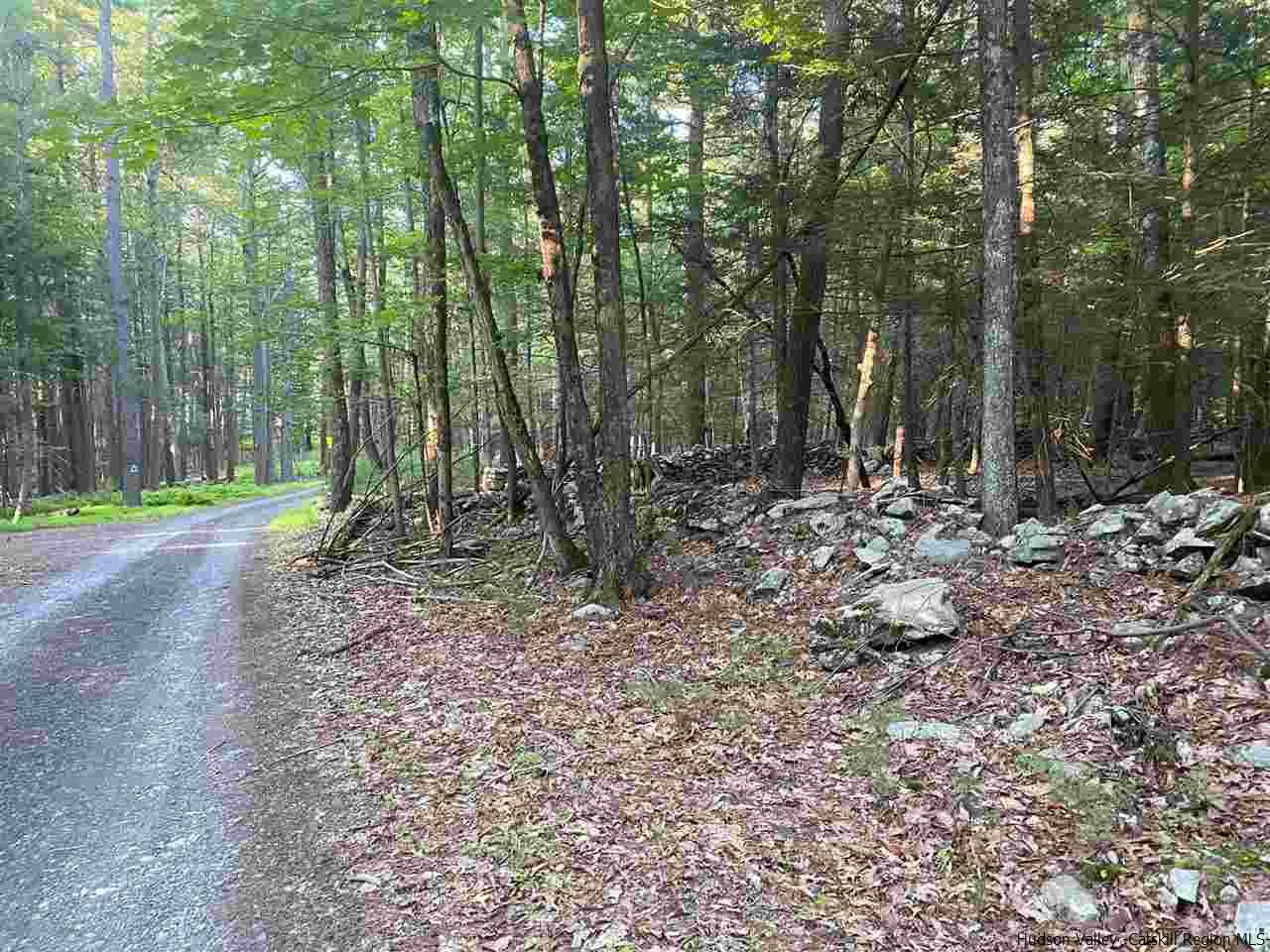 Tbd Tbd Church Road Saugerties, NY 12477 - Photo 20 of 21 Photo 20