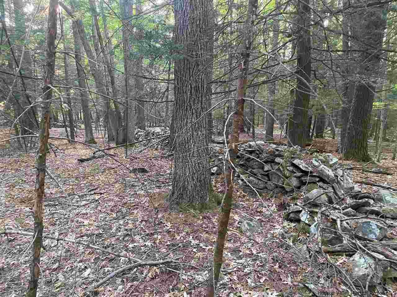 Tbd Tbd Church Road Saugerties, NY 12477 - Photo 3 of 21 Photo 3