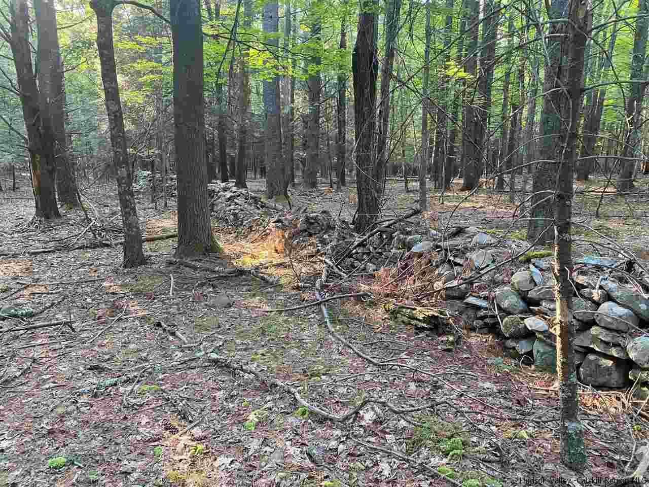 Tbd Tbd Church Road Saugerties, NY 12477 - Photo 4 of 21 Photo 4