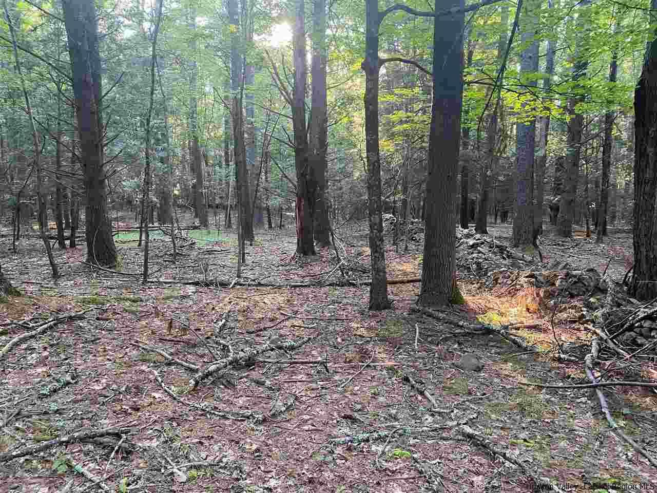 Tbd Tbd Church Road Saugerties, NY 12477 - Photo 7 of 21 Photo 7