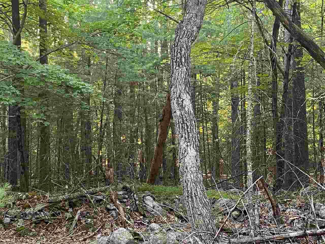 Tbd Tbd Church Road Saugerties, NY 12477 - Photo 8 of 21 Photo 8