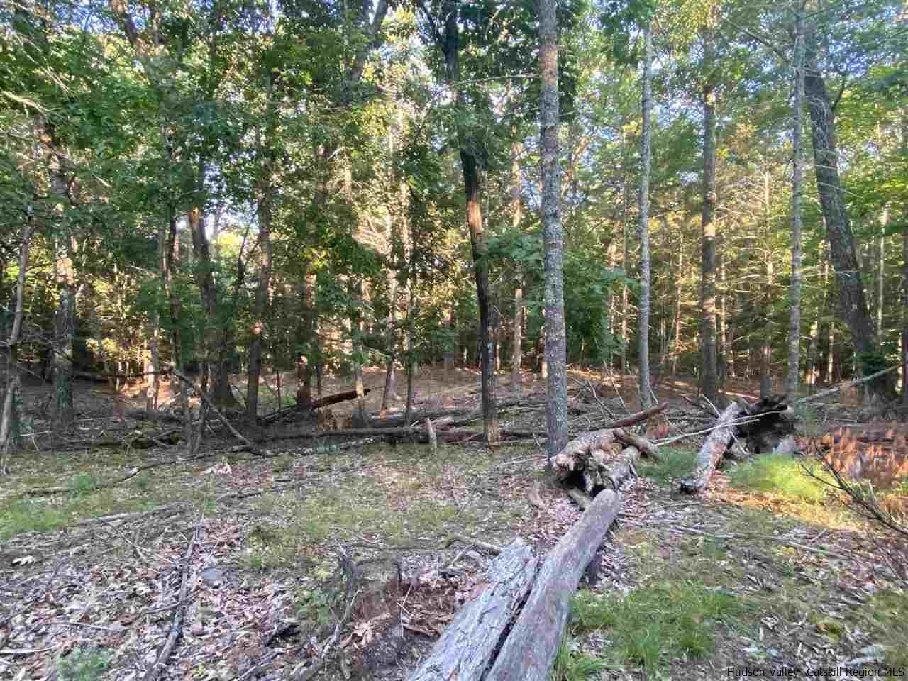 Tbd Tbd Church Road Saugerties, NY 12477 - Photo 9 of 21 Photo 9