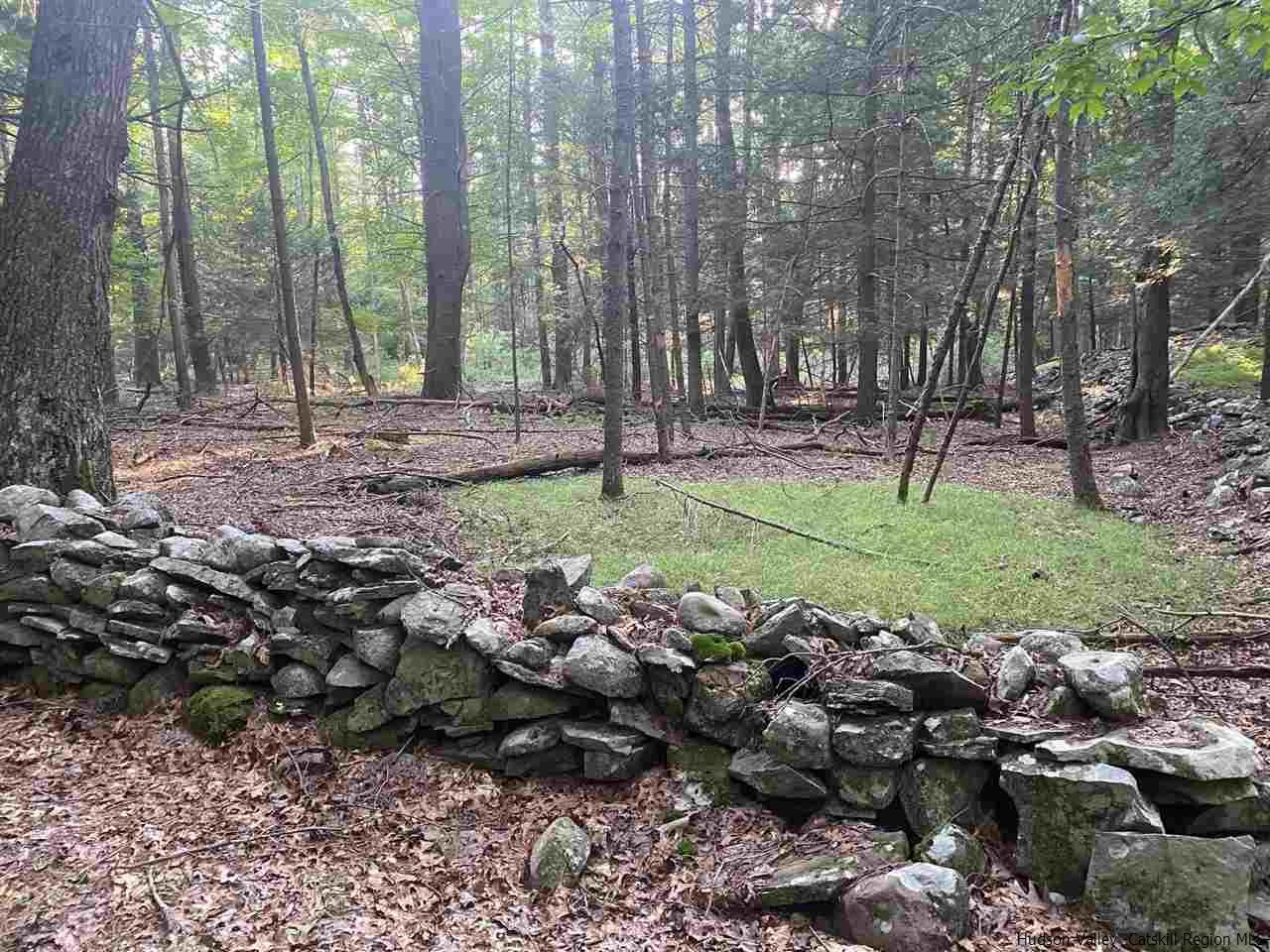 Tbd Tbd Church Road Saugerties, NY 12477 - Photo 10 of 21 Photo 10