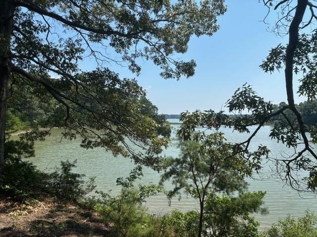 7 T Hungars Point, Unit 7T Machipongo, VA 23405 - Photo 2 of 32