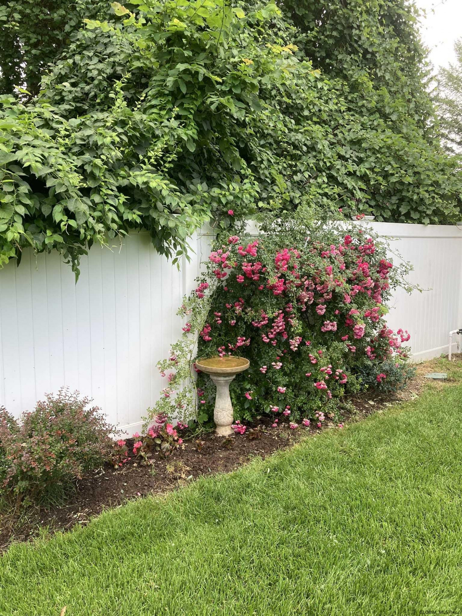 1073 Roberta Road Rotterdam, NY 12303 - Photo 16 of 32 Photo 16