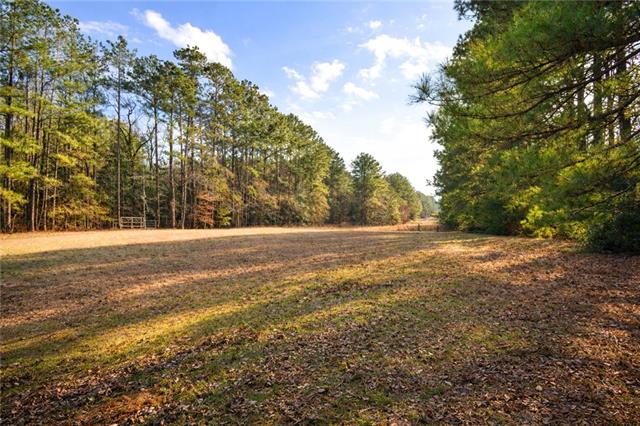 687 Rock Hill Road Bentley, LA 71407 - Photo 54 of 59
