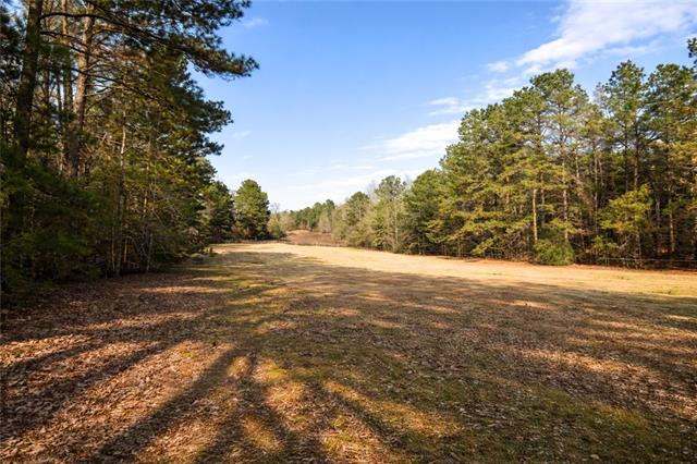 687 Rock Hill Road Bentley, LA 71407 - Photo 55 of 59