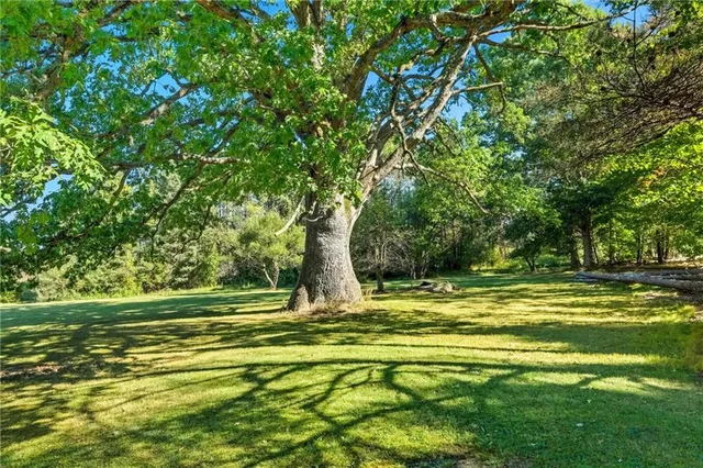 a view of a green field with clear sky