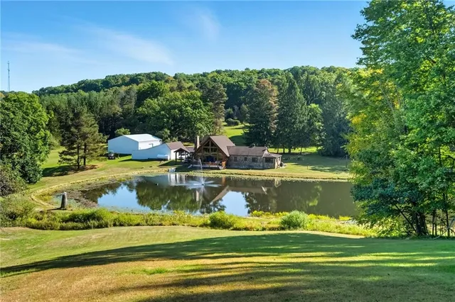 a view of a lake with a tree
