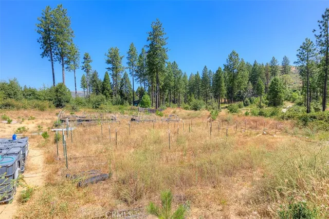 a view of dirt yard with trees