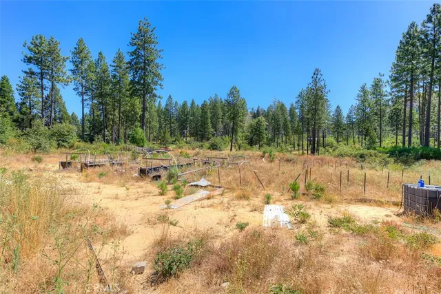 a view of yard with swimming pool and trees