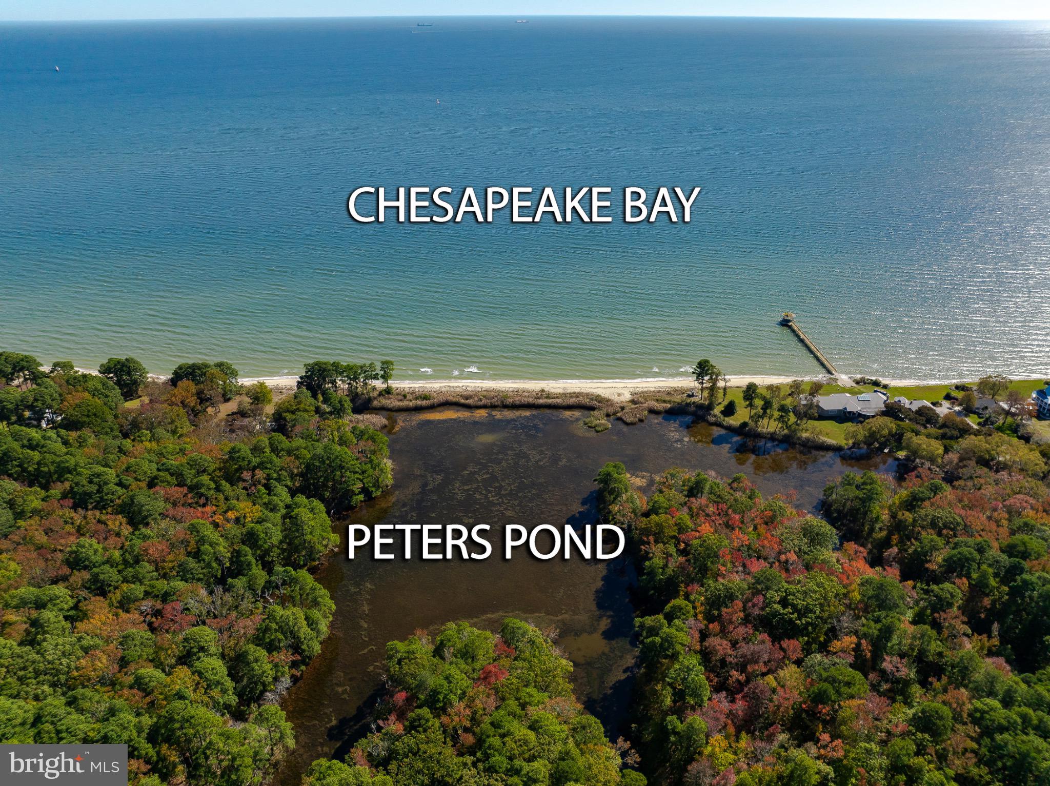 50645 Holly Point Road Dameron, MD 20628 - Photo 47 of 99