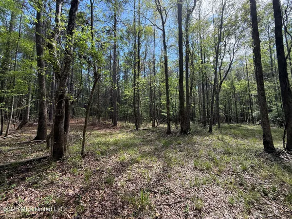 $1,053,260 | Seymour Road, Kilmichael, MS 39747