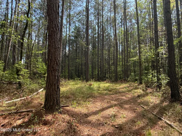 $1,053,260 | Seymour Road, Kilmichael, MS 39747