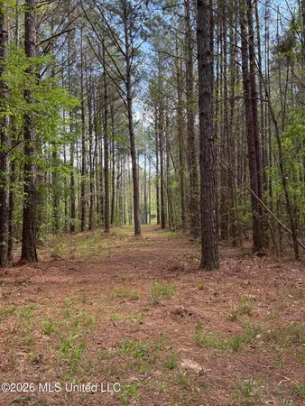 $1,053,260 | Seymour Road, Kilmichael, MS 39747