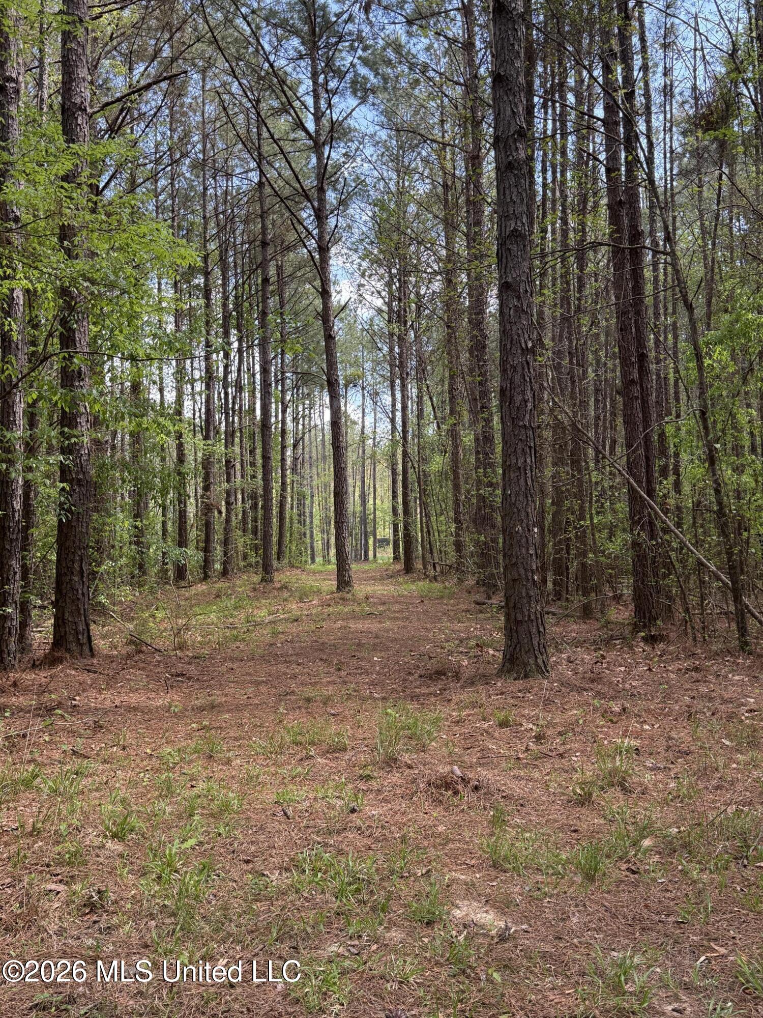 Seymour Road Kilmichael, MS 39747 - Photo 13 of 104 4