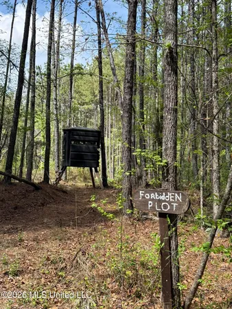 $1,053,260 | Seymour Road, Kilmichael, MS 39747