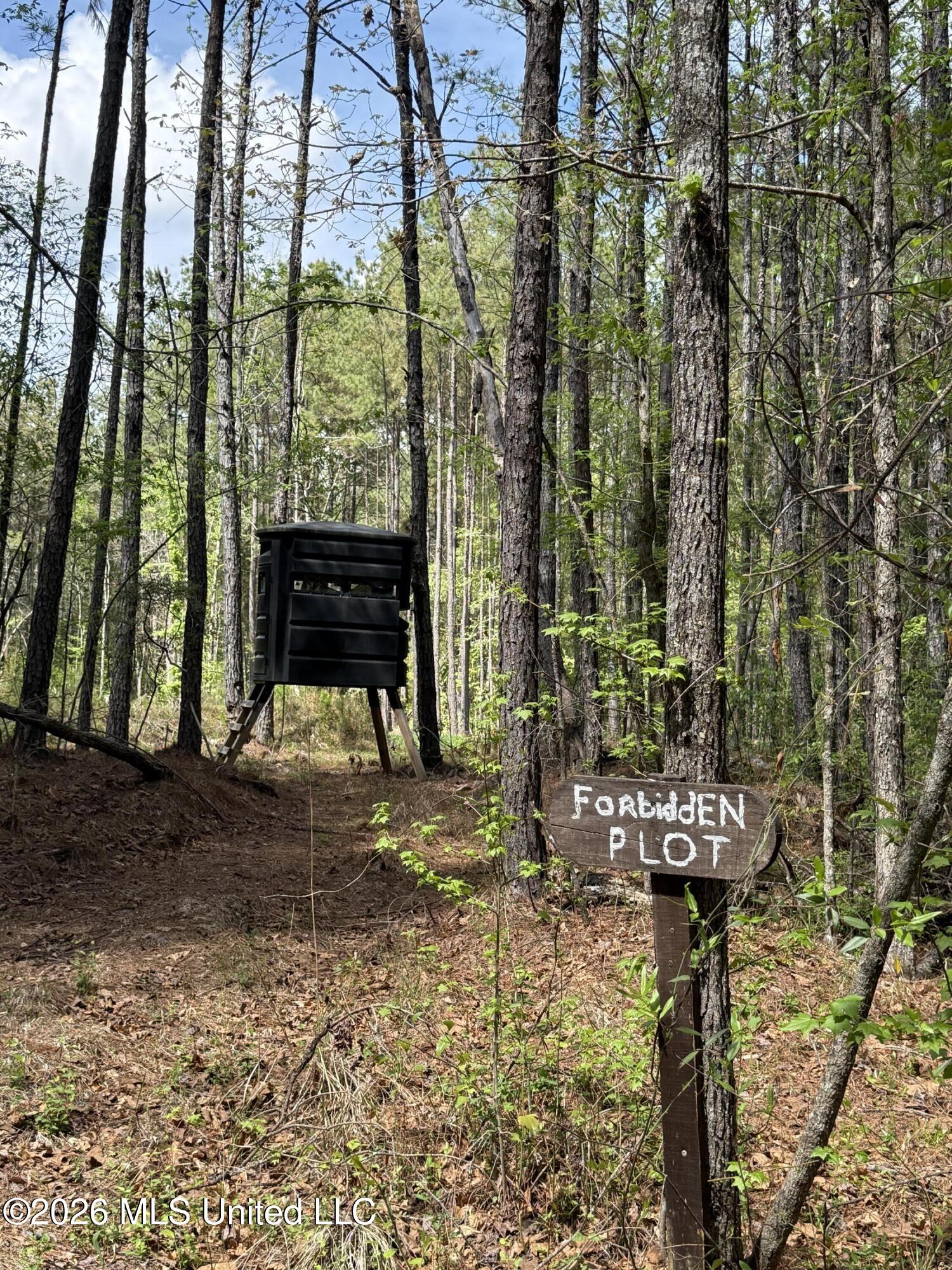 Seymour Road Kilmichael, MS 39747 - Photo 14 of 104 5