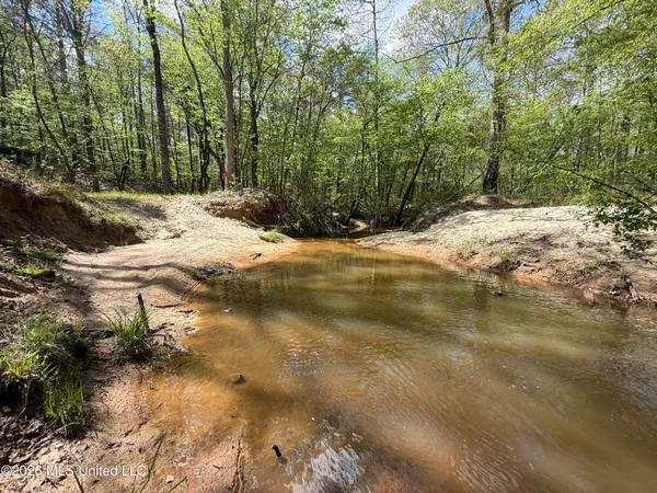 $1,053,260 | Seymour Road, Kilmichael, MS 39747