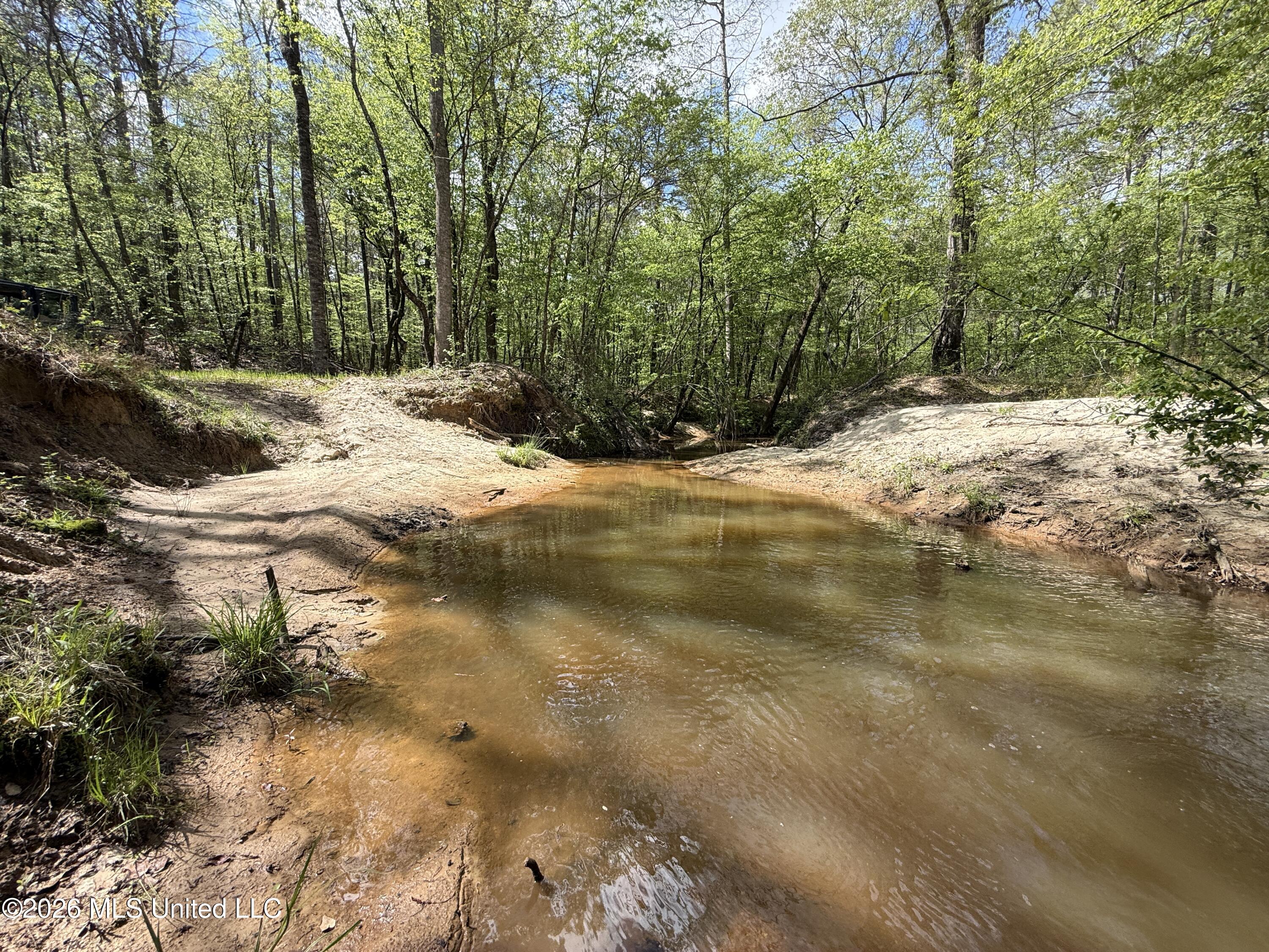 Seymour Road Kilmichael, MS 39747 - Photo 15 of 104 6