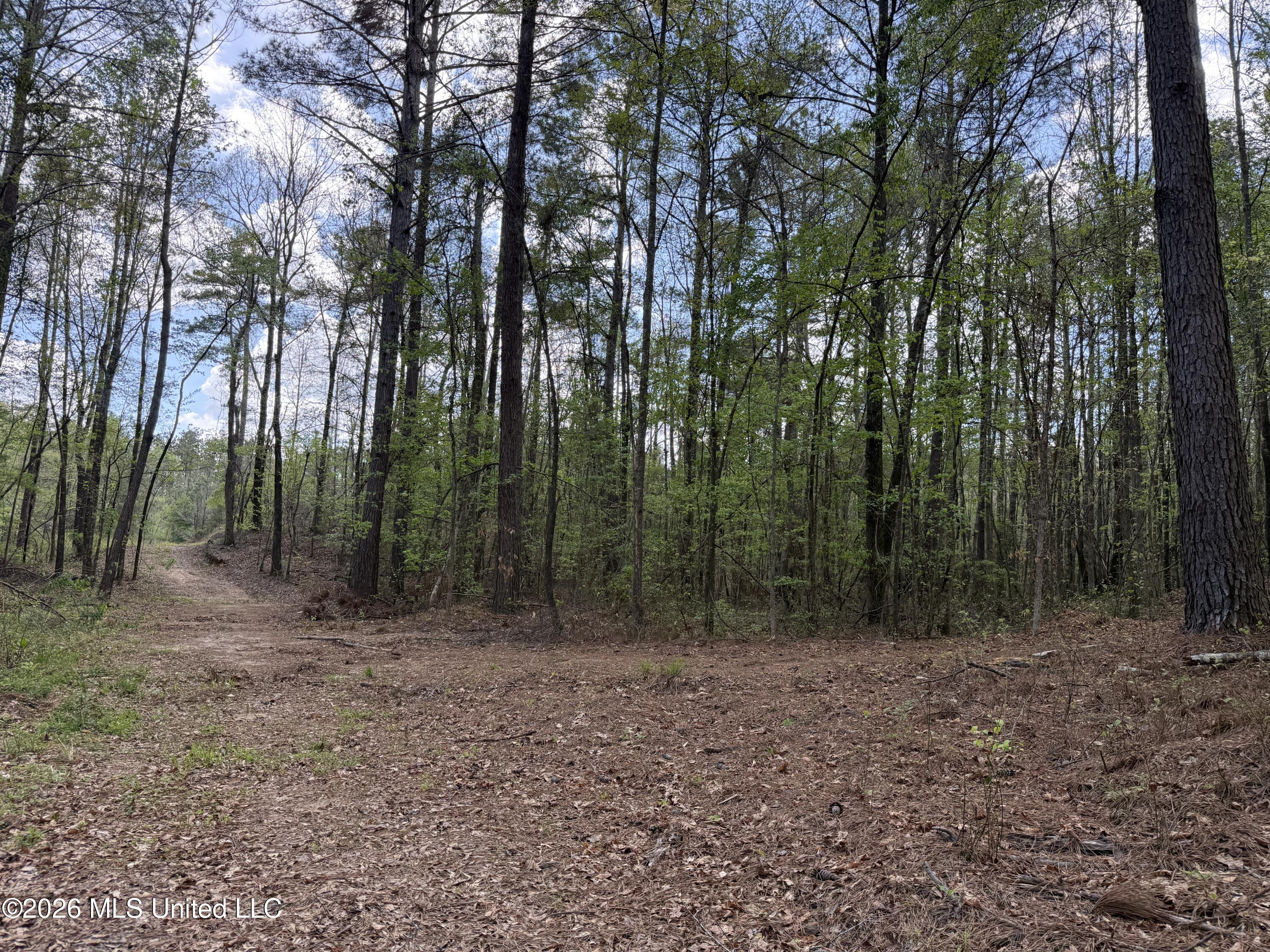 Seymour Road Kilmichael, MS 39747 - Photo 16 of 104 8