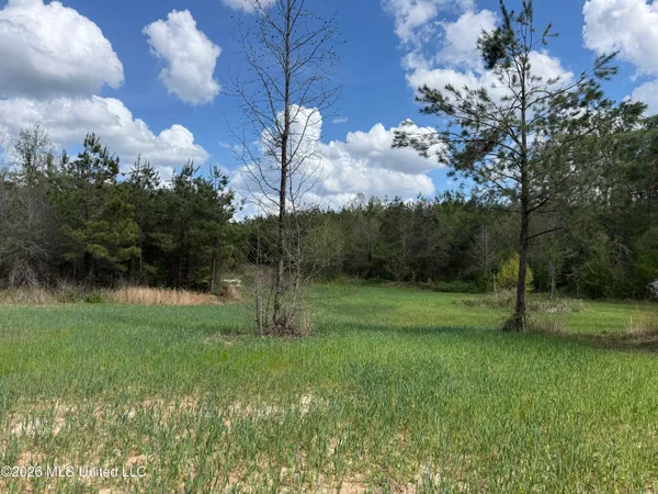 $1,053,260 | Seymour Road, Kilmichael, MS 39747
