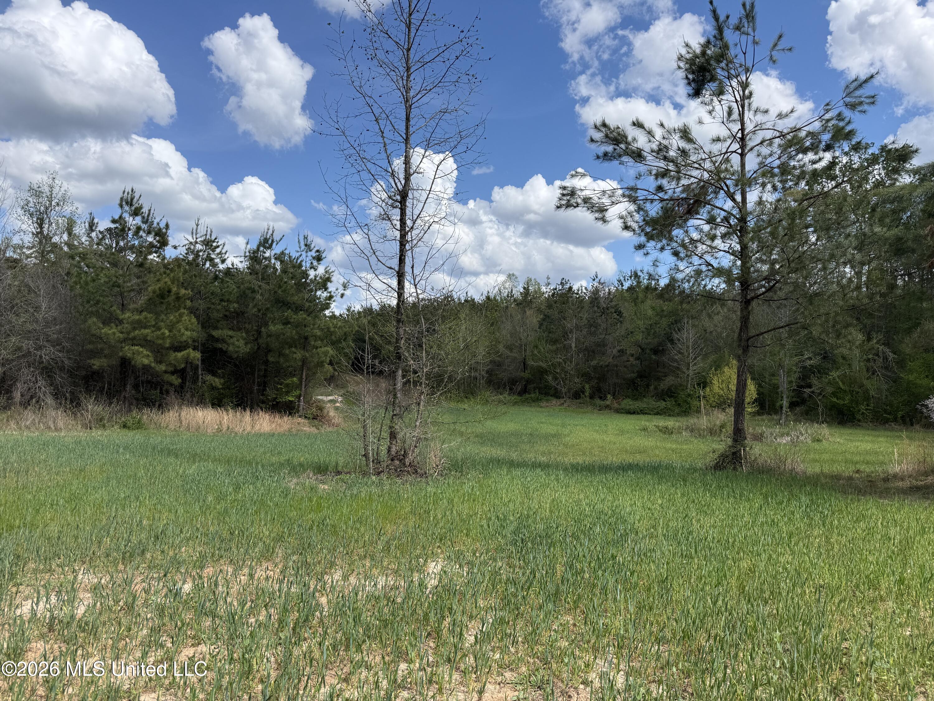 Seymour Road Kilmichael, MS 39747 - Photo 17 of 104 9