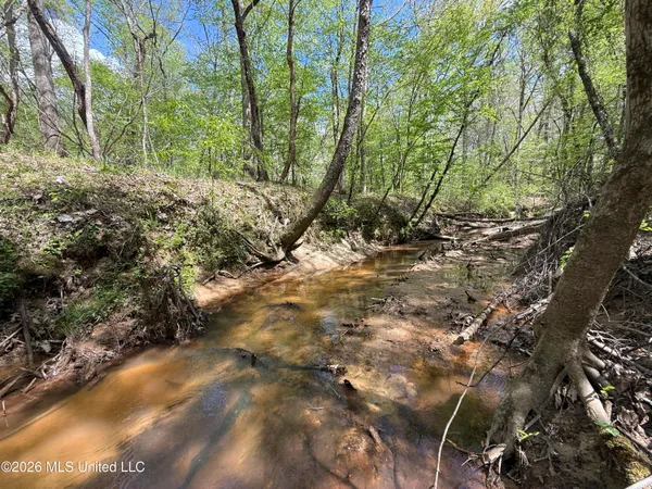 $1,053,260 | Seymour Road, Kilmichael, MS 39747