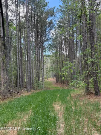 $1,053,260 | Seymour Road, Kilmichael, MS 39747
