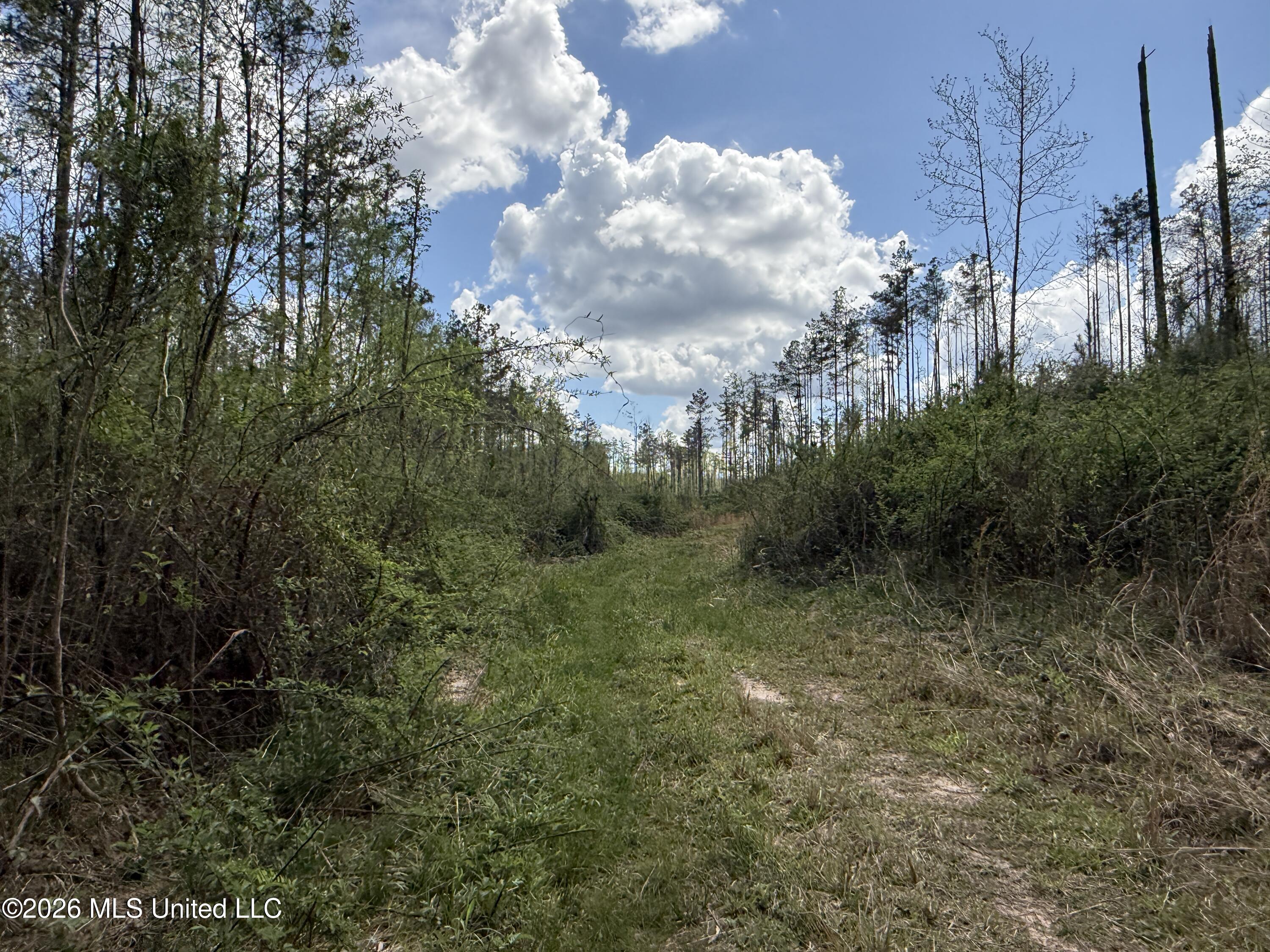 Seymour Road Kilmichael, MS 39747 - Photo 20 of 104 10