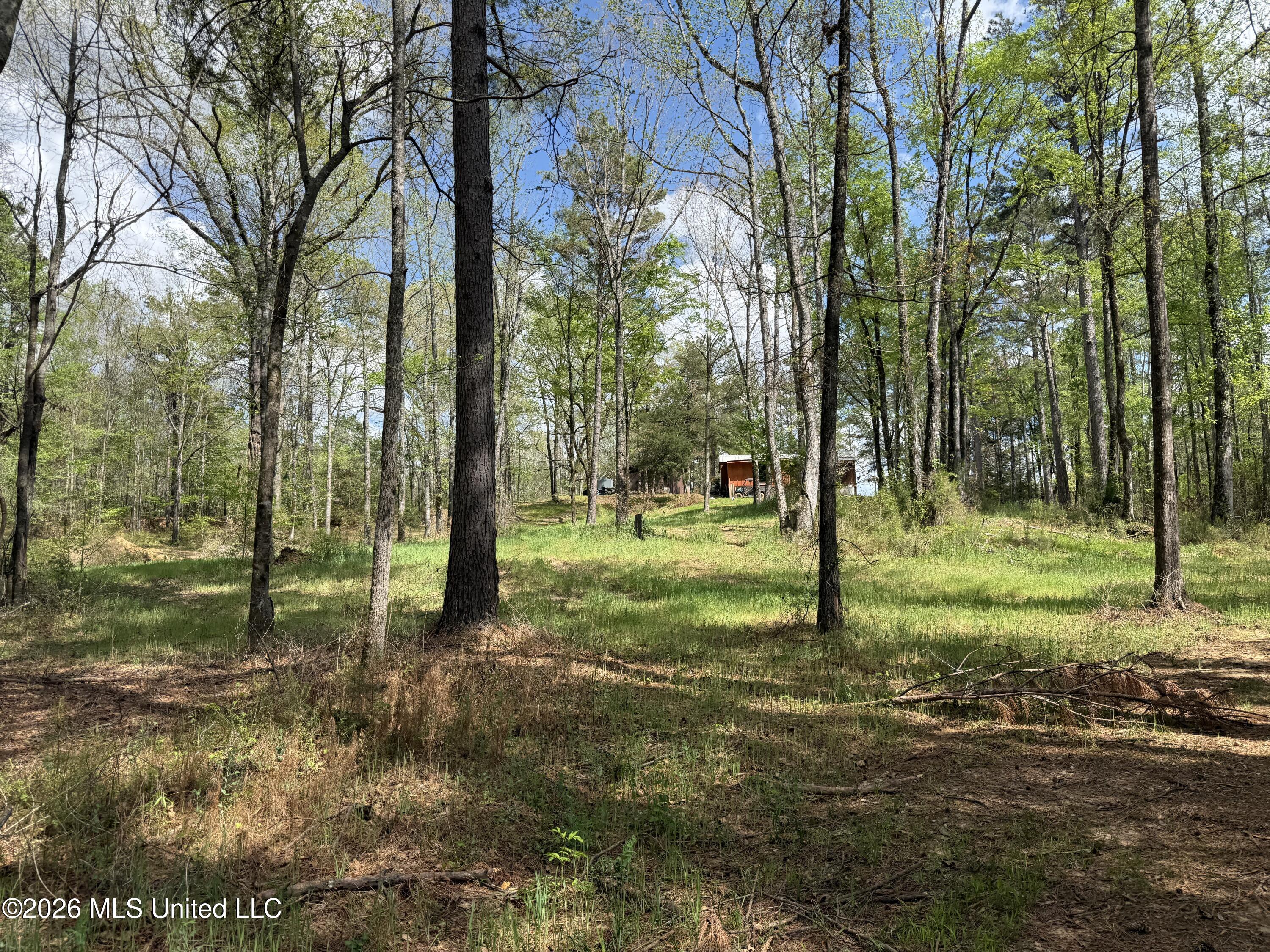 Seymour Road Kilmichael, MS 39747 - Photo 21 of 104 11