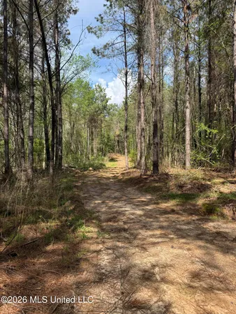 $1,053,260 | Seymour Road, Kilmichael, MS 39747