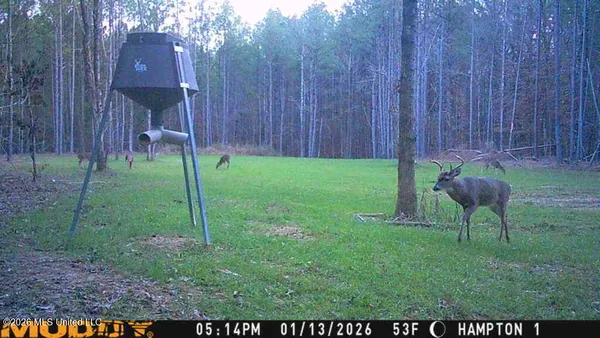 $1,053,260 | Seymour Road, Kilmichael, MS 39747