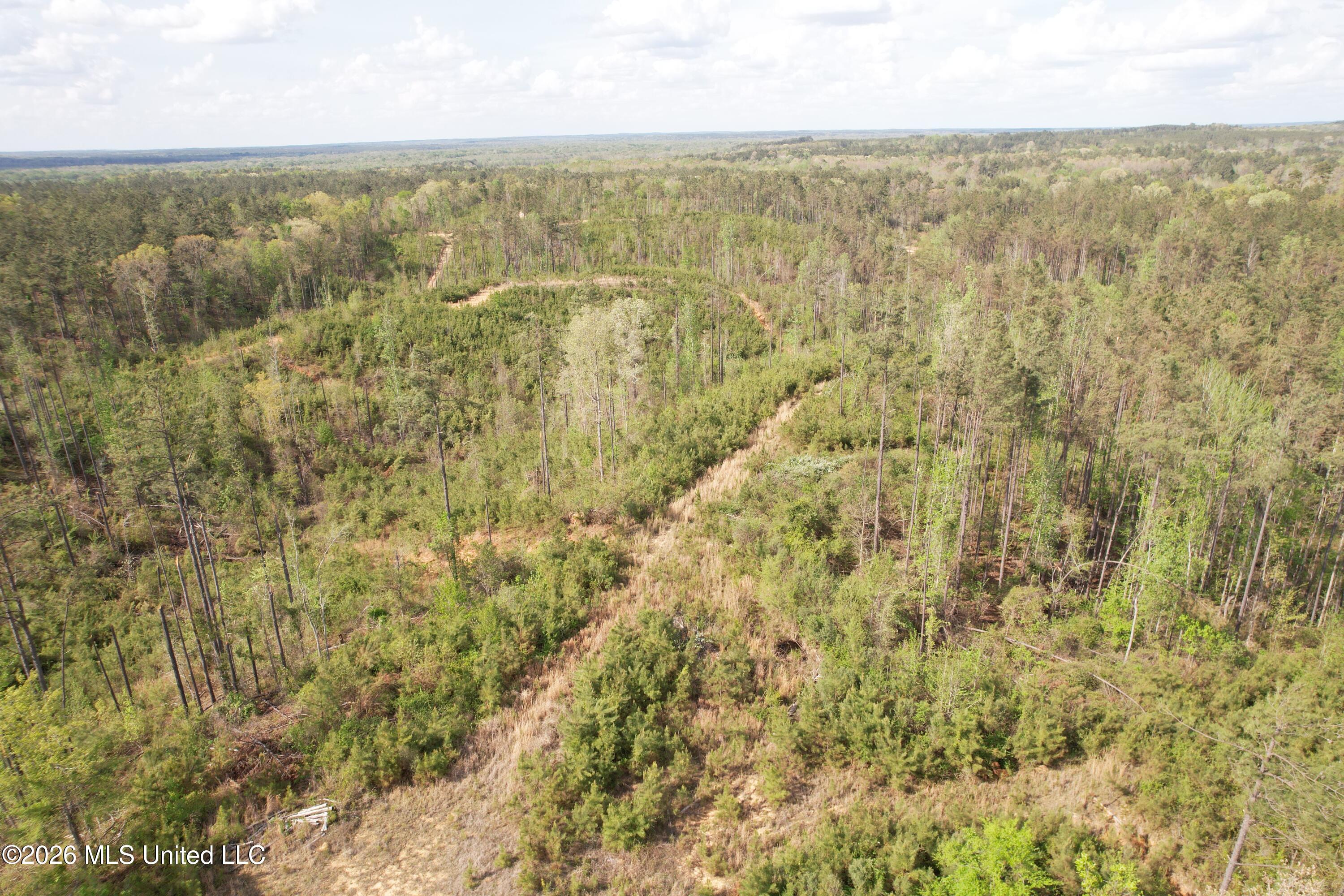 Seymour Road Kilmichael, MS 39747 - Photo 43 of 104 DJI_0081
